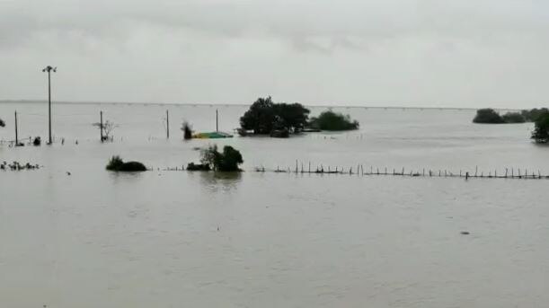 Gadchiroli Flood : गेल्या चार दिवसांपासून गडचिरोलीतल्या सिरोंचा शहराला पाण्याचा वेढा, 40 गावातील नागरिकांचं स्थलांतर 