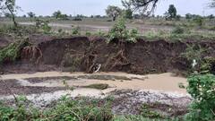 Photo: मराठवाड्यातील 172 मंडळात अतिवृष्टी; कोवळ्या पिकात पाणीच पाणी