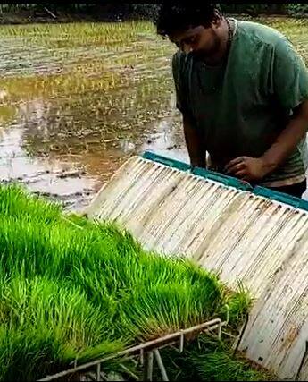 चांगला पाऊस झाल्यामुळं कोकणातील शेती कामांना वेग