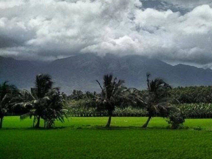 குமரி: முதலமைச்சரின் சூரியசக்தி பம்பு செட்டுகள் திட்டம்; விவசாயிகள் விண்ணப்பிக்கலாம் - ஆட்சியர் அறிவிப்பு