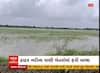 વડોદરા: પાદરામાં ખેડૂતોના હાલ બેહાલ, ઢાઢર નદીના પાણી ખેતરોમાં ફરી વળ્યાં