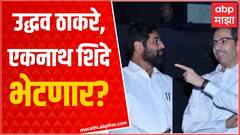 Maharashtra Political Crisis :एकनाथ शिंदे आणि उद्धव ठाकरे एकमेकांना भेटणार, दीपाली सय्यद यांचं ट्वीट
