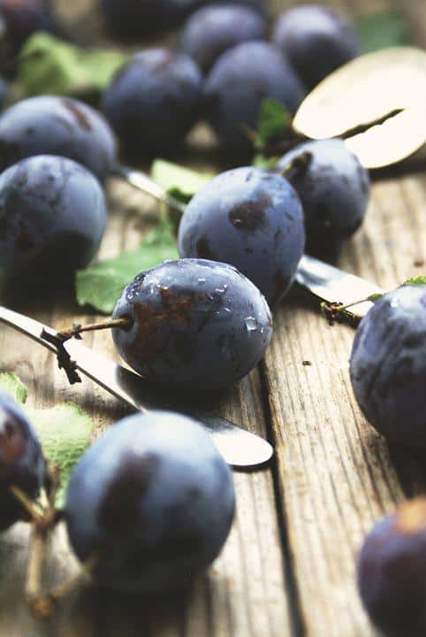 ਇਨ੍ਹਾਂ ਲੋਕਾਂ ਨੂੰ ਨਹੀਂ ਖਾਣੇ ਚਾਹੀਦੇ ਬੇਰ?