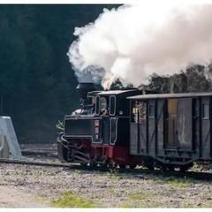 Singhabad Railway Station : বাংলাদেশ সীমান্তে ভারতের শেষ রেলস্টেশন, এখানকার সবকিছু এখনও ব্রিটিশ আমলের