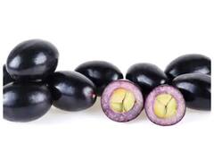 Superfood for Kids : ਬੱਚਿਆਂ ਦੇ ਮਾਨਸਿਕ ਵਿਕਾਸ ਲਈ ਜ਼ਰੂਰੀ ਹਨ ਇਹ ਚੀਜ਼ਾਂ, ਡਾਈਟ 'ਚ ਜ਼ਰੂਰ ਕਰੋ ਸ਼ਾਮਲ