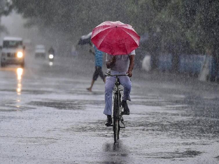 Gujarat Rain: રાજ્યમાં વરસાદનું જોર ઘટ્યું, સીઝનનો 56.81 ટકા વરસાદ પડ્યો Gujarat Rain: રાજ્યમાં વરસાદનું જોર ઘટ્યું, જાણો આ સીઝનમાં કેટલા ટકા પડ્યો વરસાદ