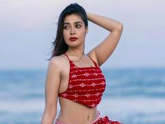 Actress Dharsha gupta: தர்க்ஷா குப்தாவின் லேட்டஸ்ட் கிளிக்ஸ்!