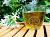 Green Tea Can Help Lower Diabetes: Study