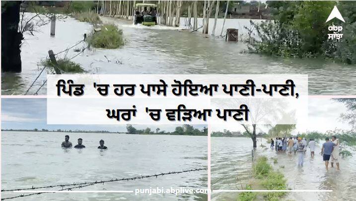 Punjab Weather : Rain in Mukatsar Sahib, water entered people's houses, crops damaged ਦੋ ਦਿਨਾਂ  'ਚ ਹੀ ਬਰਸਾਤ ਬਣੀ ਆਫਤ, ਪਿੰਡ  'ਚ ਹਰ ਪਾਸੇ ਹੋਇਆ ਪਾਣੀ-ਪਾਣੀ, ਘਰਾਂ  'ਚ ਵੜਿਆ ਪਾਣੀ