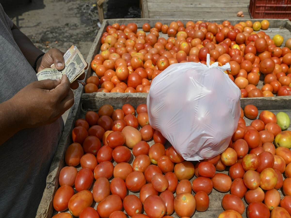 Tomato Farming: બગડ્યાં વગર હાથોહાથ વેચાઈ જશે ટામેટા, આ ખાસ ટેકનિકથી કરો ખેતી