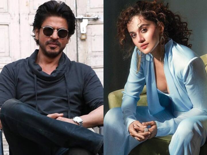 Taapsee On SRK Stardom: शाहरुख के स्टारडम पर तापसी पन्नू का बड़ा बयान, कहा- '5 साल से कोई फिल्में नहीं की लेकिन.. taapsee pannu on shahrukh khan stardom actress working with srk in dunki Taapsee On SRK Stardom: शाहरुख के स्टारडम पर तापसी पन्नू का बड़ा बयान, कहा- '5 साल से कोई फिल्में नहीं की लेकिन..