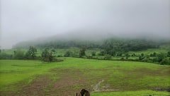 काय झाडी, काय डोंगर, चिखलदरात पर्यटकांची जत्रा...