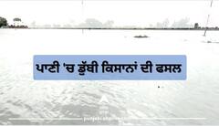 ਬਾਰਸ਼ ਨੇ ਮਚਾਈ ਤਬਾਹੀ, ਫਸਲਾਂ ਦਾ ਵੱਡਾ ਨੁਕਸਾਨ, ਕਿਸਾਨਾਂ ਨੇ ਮੰਗਿਆ ਮੁਆਵਜ਼ਾ