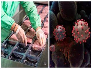 Covid virus in meat: பதப்படுத்தப்பட்ட இறைச்சியிலும் கோவிட்-19 வைரஸ்! வெளியான பகீர் ரிப்போர்ட்!