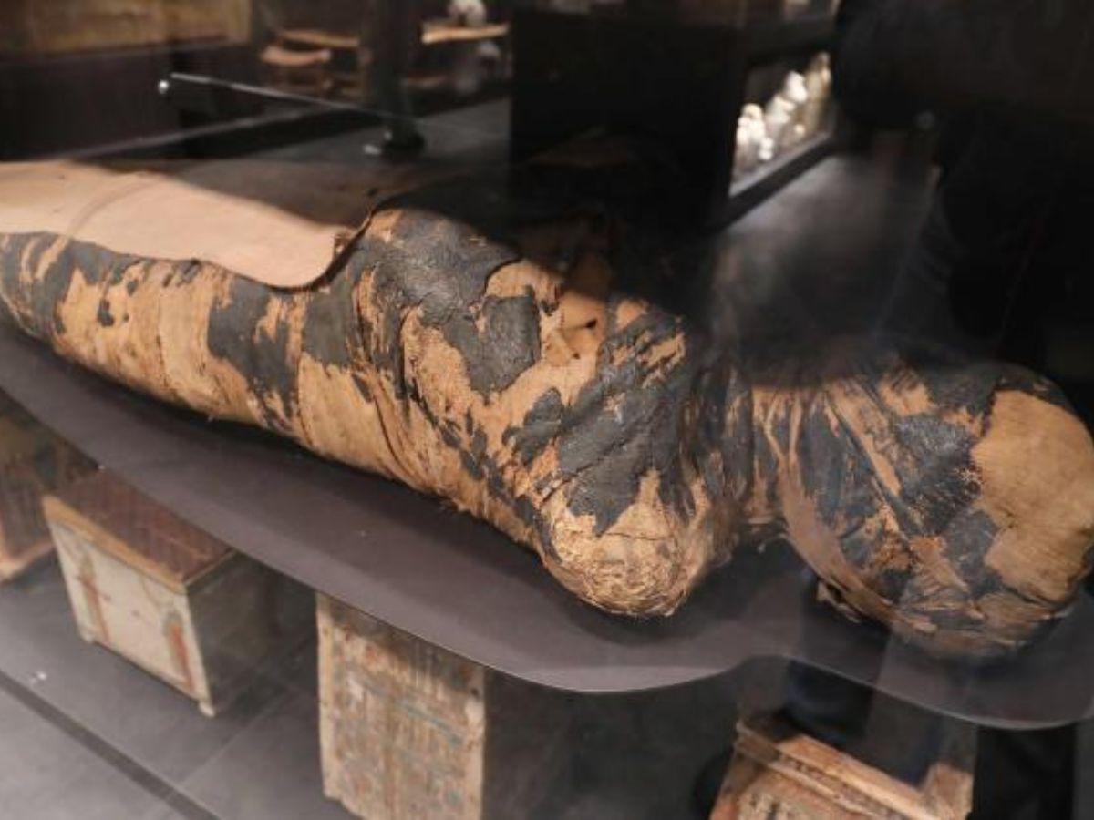 Researchers Find 2000 Year Old Pregnant Mummy That May Have Had Cancer