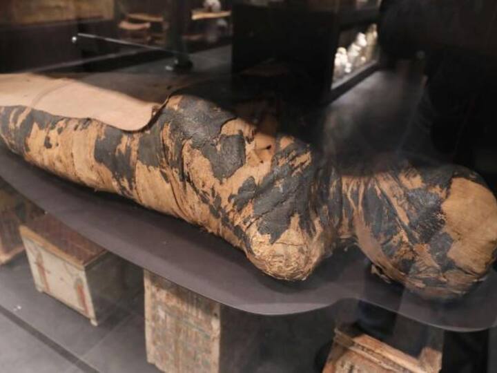 Researchers Find 2000 Year Old Pregnant Mummy That May Have Had Cancer Researchers Find 2000-Year-Old Pregnant Mummy That May Have Had Cancer