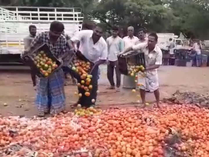 Farmers threw away tomatoes as they did not get the right price in coimbatore கோவை : பல மாத உழைப்பே வீண்! விலையில்லை.. கூடைகூடையாக குப்பையில் கொட்டப்பட்ட தக்காளி!