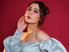 PHOTO : सारा खान नव्या नात्यात, शेअर केले फोटो