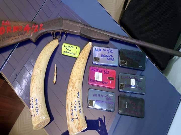 Crime: கொடைக்கானல் பகுதியில் யானை தந்தங்களை விற்க முயன்ற 8 பேர் கைது - வனத்துறை அதிரடி