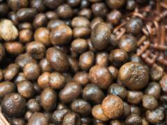 Herbal Mushroom: झारखंड के जंगलों में उगता है शाकाहारियों का मटन, जानें इस मशरूम की खासियत