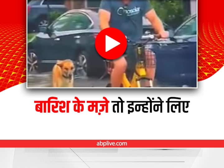 man riding scooter and dog surfing board on road video viral on social media Viral Video: सड़क पर लबालब भरा पानी, शख्स ने चलाया स्कूटर और कुत्ते ने की Surfing