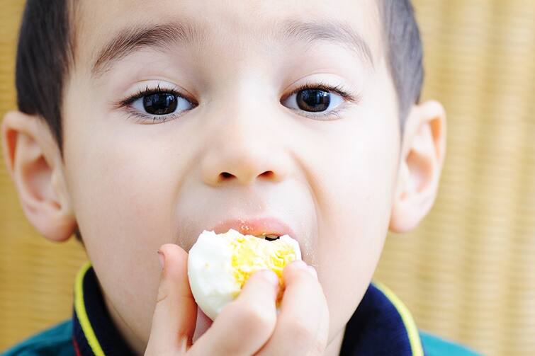 Child Care: At what age can children be fed eggs? Know its benefits Child Care : ਬੱਚਿਆਂ ਨੂੰ ਕਿਸ ਉਮਰ 'ਚ ਖੁਆ ਸਕਦੇ ਹਾਂ ਆਂਡੇ ? ਜਾਣੋ ਇਸਦੇ ਫਾਇਦੇ