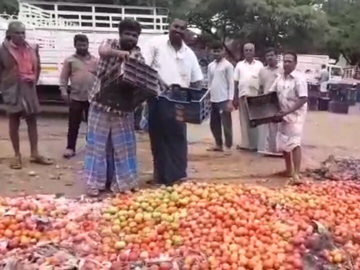 கோவை : பல மாத உழைப்பே வீண்! விலையில்லை.. கூடைகூடையாக குப்பையில் கொட்டப்பட்ட தக்காளி!