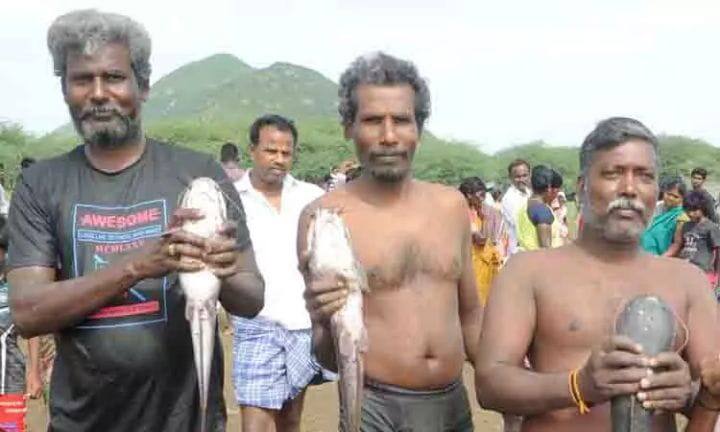 Perambalur: After 12 years, the fishing festival at Esanai Periya Lake was held with a bang பெரம்பலூர்: 12 ஆண்டுகளுக்கு பிறகு கோலாகலமாக  எசனை பெரிய ஏரியில் நடந்த மீன்பிடி திருவிழா