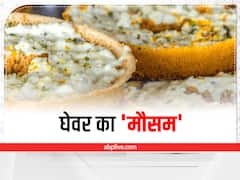 Rajasthani Sweet Ghevar: बारिश में ही क्यों आती है घेवर की बहार, सेहत से भी जुड़ा है नाता