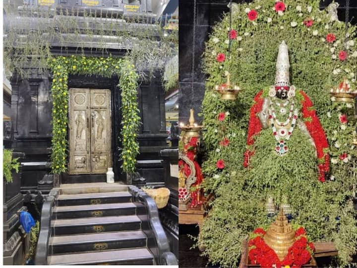 Nellore Temple Decorates With Henna leaves DNN Ashada Masam 2022: ఆషాఢం స్పెషల్ - నెల్లూరులో అమ్మవారి ఆలయం నిండా గోరింటాకు