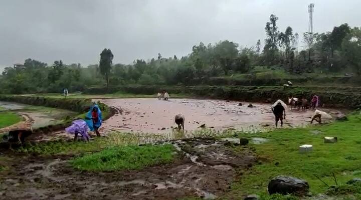 भोर तालुक्यातील हिरडस मावळ मधील कोंढरी या गावातील हे दृष्य आहे.