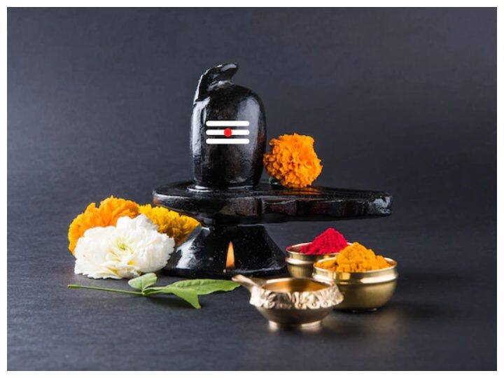 प्रीत विहार का गुफा वाला शिव मंदिर: अपनी बनावट और भोलेबाबा के भक्तों के कारण यह मंदिर दिल्ली में काफी फेमस है. यह मंदिर प्रीत विहार मेट्रो स्टेशन के पास है, इस मंदिर के अंदर गुफा बनाई गई है.