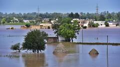 ਭਾਰੀ ਮੀਂਹ ਦਾ ਕਹਿਰ, ਸੈਂਕੜੇ ਏਕੜ ਰਕਬੇ 'ਚ ਫ਼ਸਲ ਤਬਾਹ, ਕਿਸਾਨਾਂ ਨੇ ਮੰਗਿਆ ਮੁਆਵਜ਼ਾ