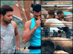 Khatron Ke Khiladi में इस कंटेस्टेंट पर सूअरों ने किया हमला, Video देख रोंगटे खड़े हो जाएंगे