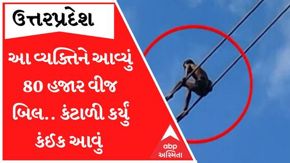 80 હજારથી વધુનું વીજ બિલ જોઈ યુવક ચોંક્યો પછી હાઈટેન્શન વીજ કેબલ પર ચઢી કર્યો હોબાળો