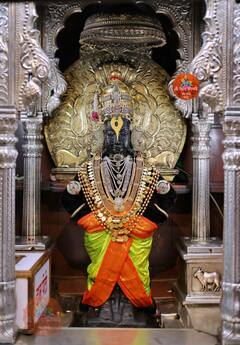 PHOTO : आज प्रक्षाळ पूजेनिमित्त विठ्ठल रुक्मिणीचे  पाहा मनमोहक रुप