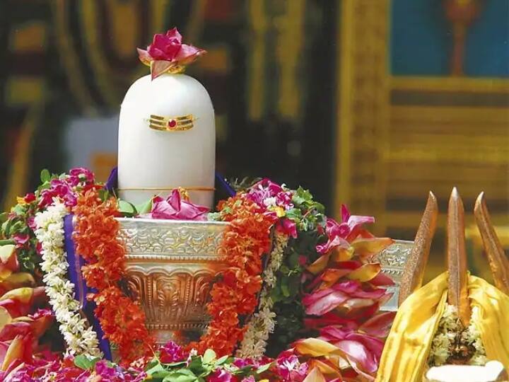 Sawan 2022: सावन के महीने में भोलेनाथ को चढ़ाएं उनका पसंदीदा फूल, जानें- कौन सा फूल पूरी करेगा मनोकामना Plating these flowers to Mahadev Sawan month will fulfill your wish ANN Sawan 2022: सावन के महीने में भोलेनाथ को चढ़ाएं उनका पसंदीदा फूल, जानें- कौन सा फूल पूरी करेगा मनोकामना