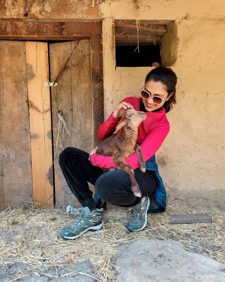 అమలాపాల్ అందమైన ఫోటోలు -Image Credit:Amala Paul/Instagram