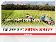 Multi-Tasking Farming: खेत-खलिहानों में फैलेगी खुशहाली,‌ बस खेती के साथ-साथ कर लें ये 5 काम