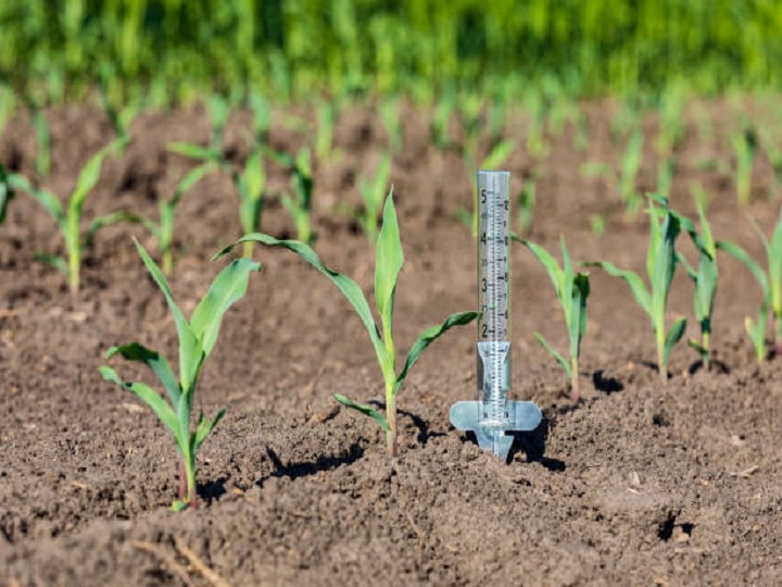 Dry Farming: सिर्फ 1 लीटर पानी में लहलहा उठेंगे खेत, जानें क्या है कम पानी में सूखी खेती का नुस्खा