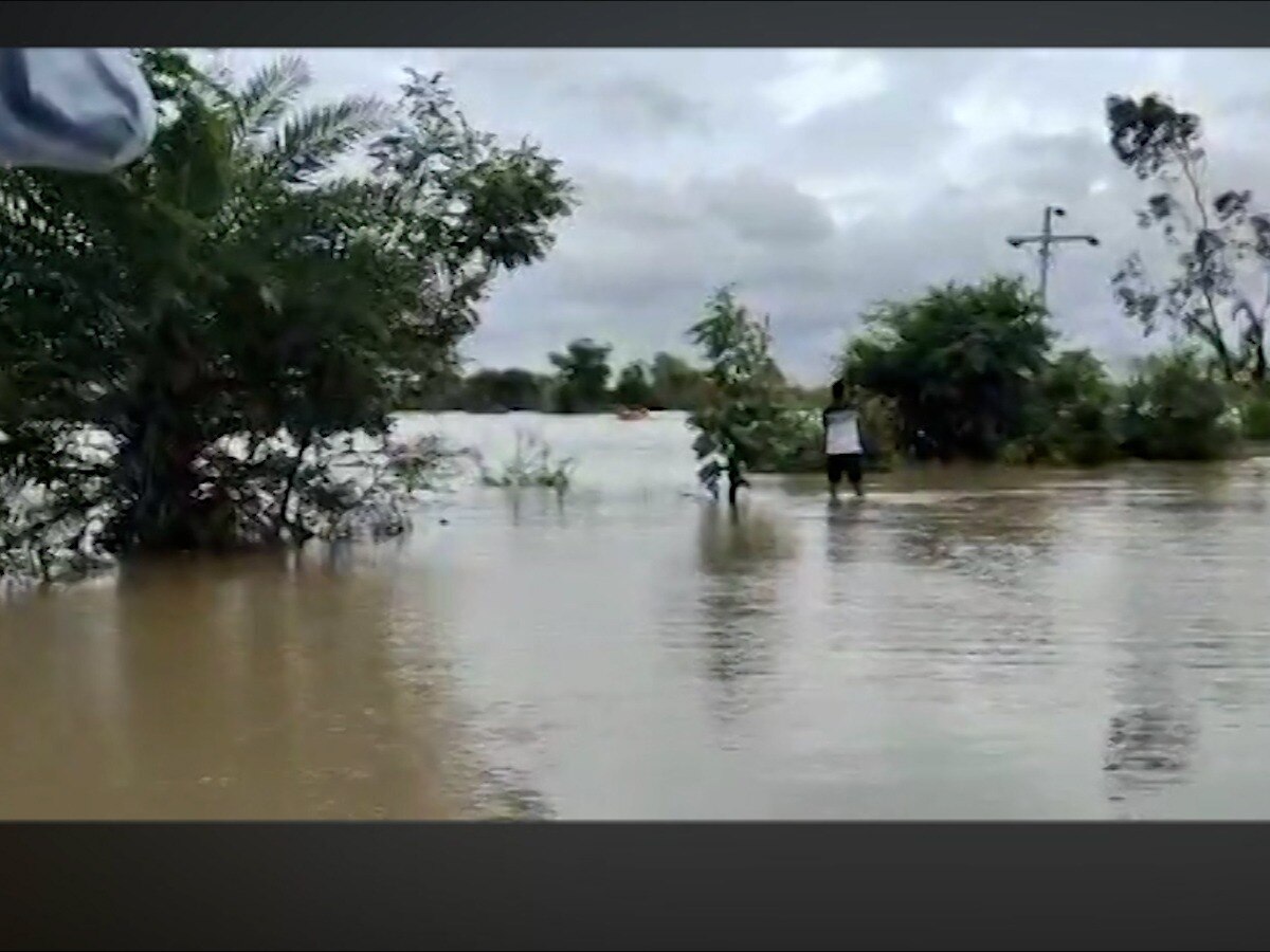 Gadchiroli Rain Updates : गडचिरोलीत पूरस्थिती कायम; आतापर्यंत कोणत्या तालुक्यात, किती नुकसान?