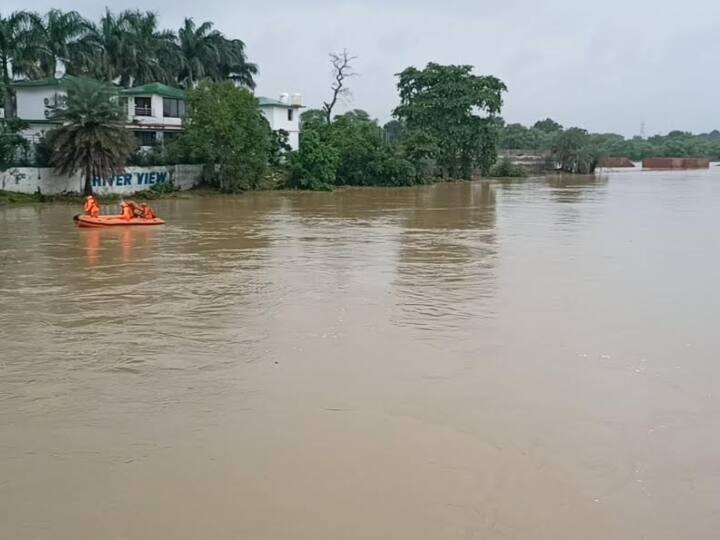 घटना के बाद मौके पर एनडीआरएफ ,एसडीआरएफ की टीमें प्रशिक्षित गोताखोरों के साथ मौके पर पहुंची हैं. टीम लगातार कार सवारों का रेस्क्यू करने का प्रयास कर रही है. नदी में बहाव ज्यादा होने के कारण रेस्क्यू में दिक्कत आ रही है. पुलिस ने बताया कि सूचना मिलने के बाद ये ही आधी रात से यहां डटे हुए हैं. मौके पर एनडीआरएफ की टीम पहुंच गई है और रेस्क्यू जारी है. उम्मीद है जल्द ही सफलता मिल जाएगी.