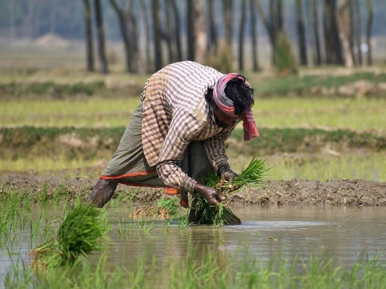 Farmer filed a case against Indradev saying 'everyone is getting rain, but we are not', the complaint has gone viral Viral: ‘అందరికీ వాన పడుతోంది, మాకే లేదు’ అంటూ కోపంతో అతనిపైనే కేసు పెట్టిన రైతు, వైరల్ అయిన ఫిర్యాదు