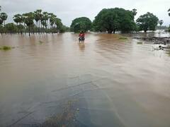 Sukma News: नदी में बैक वाटर से बढ़ता जा रहा है बाढ़ का पानी, फंसे लोगों को निकालने में जुटी SDRF और पुलिस