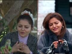 Khatron Ke Khiladi 12: मेढक-इगुआना के बाद रुबीना दिलैक को मिला इस खतरनाक जानवर को किस करने का टास्क, डर के मारे मैदान छोड़ भागीं!