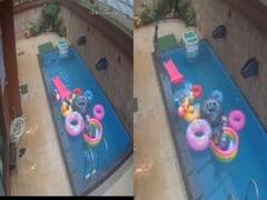 Maharashtra: लोनावाला में दर्दनाक हादसा, स्विमिंग पूल में डूबने से 2 साल के मासूम की गई जान, जन्मदिन पर घूमने गया था परिवार