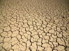 Surguja News: छत्तीसगढ़ के उत्तरी इलाके में सूखा, सरगुजा में औसत से 66 प्रतिशत कम बारिश, मौसम विभाग ने जताई ये उम्मीद