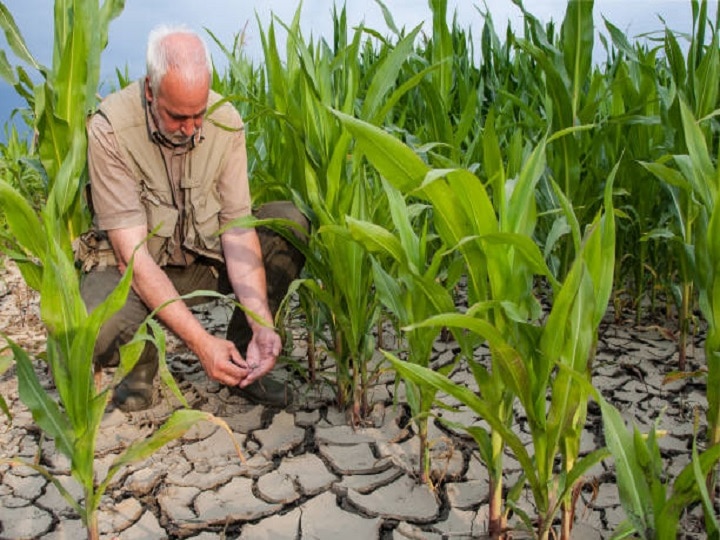 Dry Farming: सिर्फ 1 लीटर पानी में लहलहा उठेंगे खेत, जानें क्या है कम पानी में सूखी खेती का नुस्खा