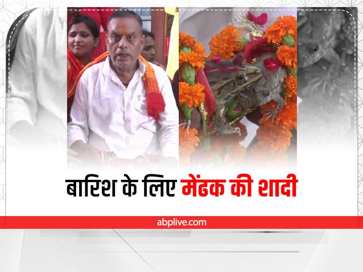 up news gorakhpur marriage of frog organized for rain ann Gorakhpur News: इंद्र देवता को खुश करने के लिए गोरखपुर में कराई गई मेंढक की शादी, लोगों ने गाए मंगल गीत