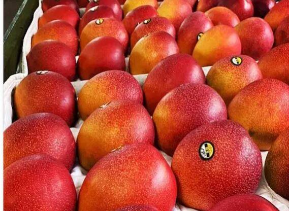 ਮੀਡੀਆ ਰਿਪੋਰਟਾਂ ਮੁਤਾਬਕ ਜਾਪਾਨ ਦੇ ਮਿਆਜ਼ਾਕੀ ਸ਼ਹਿਰ ਦਾ ਉਤਪਾਦ ਹੋਣ ਕਾਰਨ ਇਸ ਨੂੰ ਮਿਆਜ਼ਾਕੀ ਅੰਬ ਕਿਹਾ ਜਾਂਦਾ ਹੈ। ਇਹ ਦੁਨੀਆ ਦਾ ਸਭ ਤੋਂ ਮਹਿੰਗਾ ਅੰਬ ਹੈ, ਜਿਸ ਦੀ ਬਣਤਰ ਵਿਲੱਖਣ ਹੈ ਅਤੇ ਰੰਗ ਗੂੜ੍ਹਾ ਲਾਲ ਜਾਂ ਜਾਮੁਨੀ ਹੁੰਦਾ ਹੈ। ਇਸ ਅੰਬ ਦਾ ਆਕਾਰ ਡਾਇਨਾਸੌਰ ਦੇ ਅੰਡੇ ਦੇ ਆਕਾਰ ਦੇ ਬਰਾਬਰ ਹੈ। ਇਸ ਦਾ ਵਿਗਿਆਨਕ ਨਾਮ ਤਾਈਓ-ਨੋ-ਟੋਮਾਗੋ ਹੈ, ਜਿਸ ਨੂੰ ਐਗਜ਼ ਆਫ਼ ਸਨਸ਼ਾਈਨ ਵੀ ਕਿਹਾ ਜਾਂਦਾ ਹੈ।